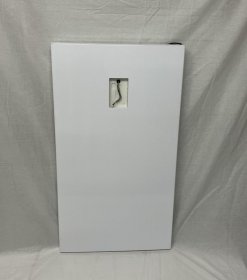 Fridge Door - 49041000 Refrigerator Door Complete [Candy Hoover]